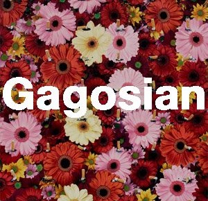 Gagosian Gallery