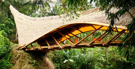 The Green School